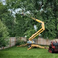 Best Emergency Tree Removal  in Justice, IL